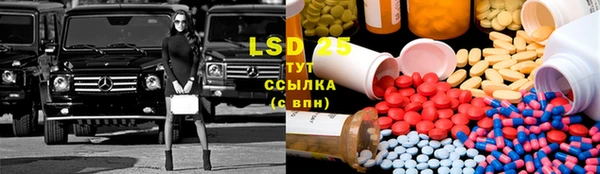 прущие грибы Михайловск