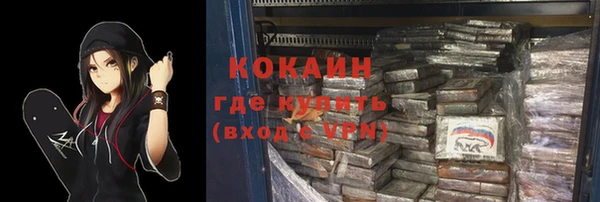 прущие грибы Михайловск