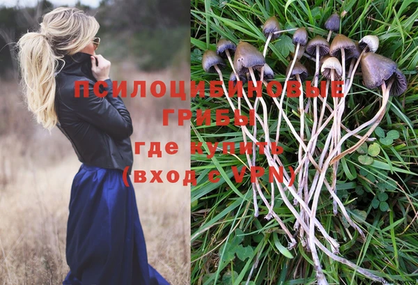 синтетический гашиш Михайлов