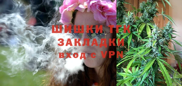 прущие грибы Михайловск