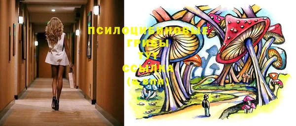сатива Навашино