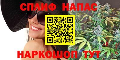 бошки Гагарин
