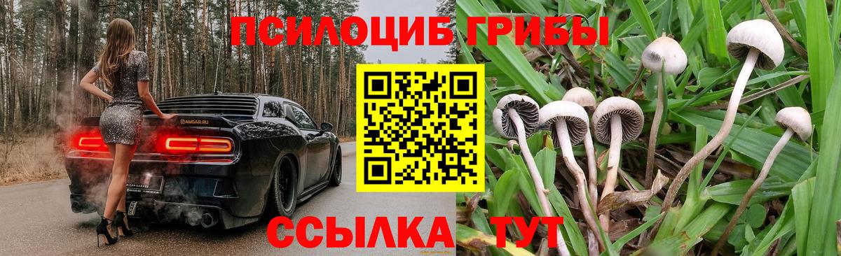 Галлюциногенные грибы GOLDEN TEACHER  Вход с VPN  Галлюциногенные грибы Psilocybe  Йошкар-Ола 