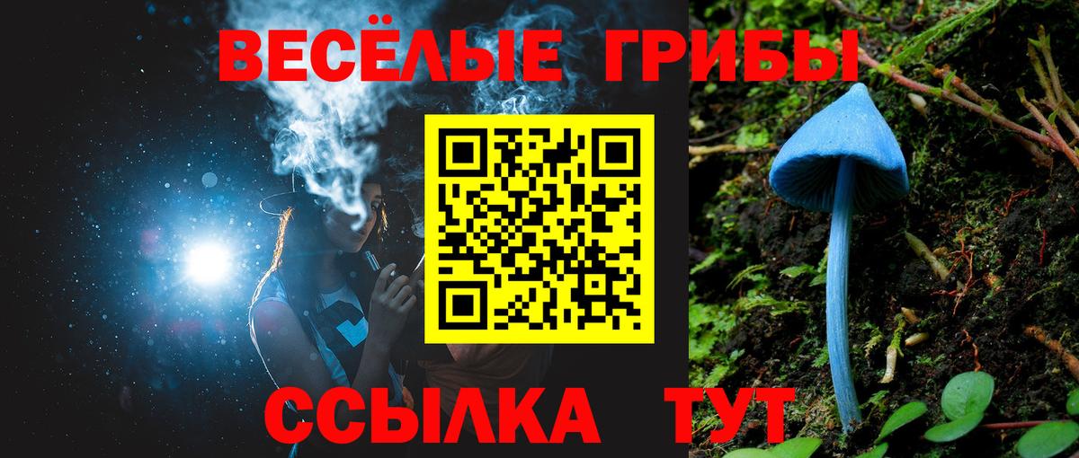 Псилоцибиновые грибы ЛСД Йошкар-Ола